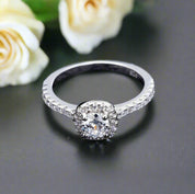 14k White Gold 2.0 Ct Pave Diamond Engagement Ring-Evani Naomi Jewelry