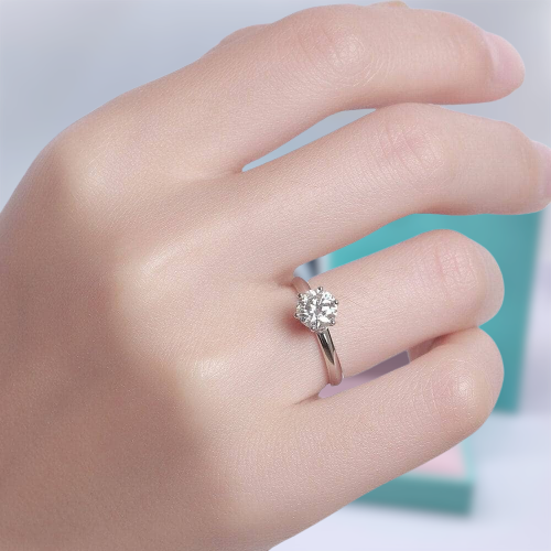 1.0 Ct Round Cut Diamond Hidden Halo Engagement Ring-Evani Naomi Jewelry