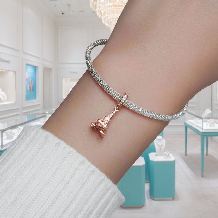 Charming Journey of Paris Charm Series-Evani Jewelry