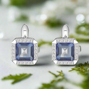 Pair of earrings with blue gemstones and silver frames on a white background
