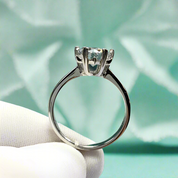 Round Cut 2.0 Ct Diamond with Snowflake Engagement Ring-Evani Naomi Jewelry