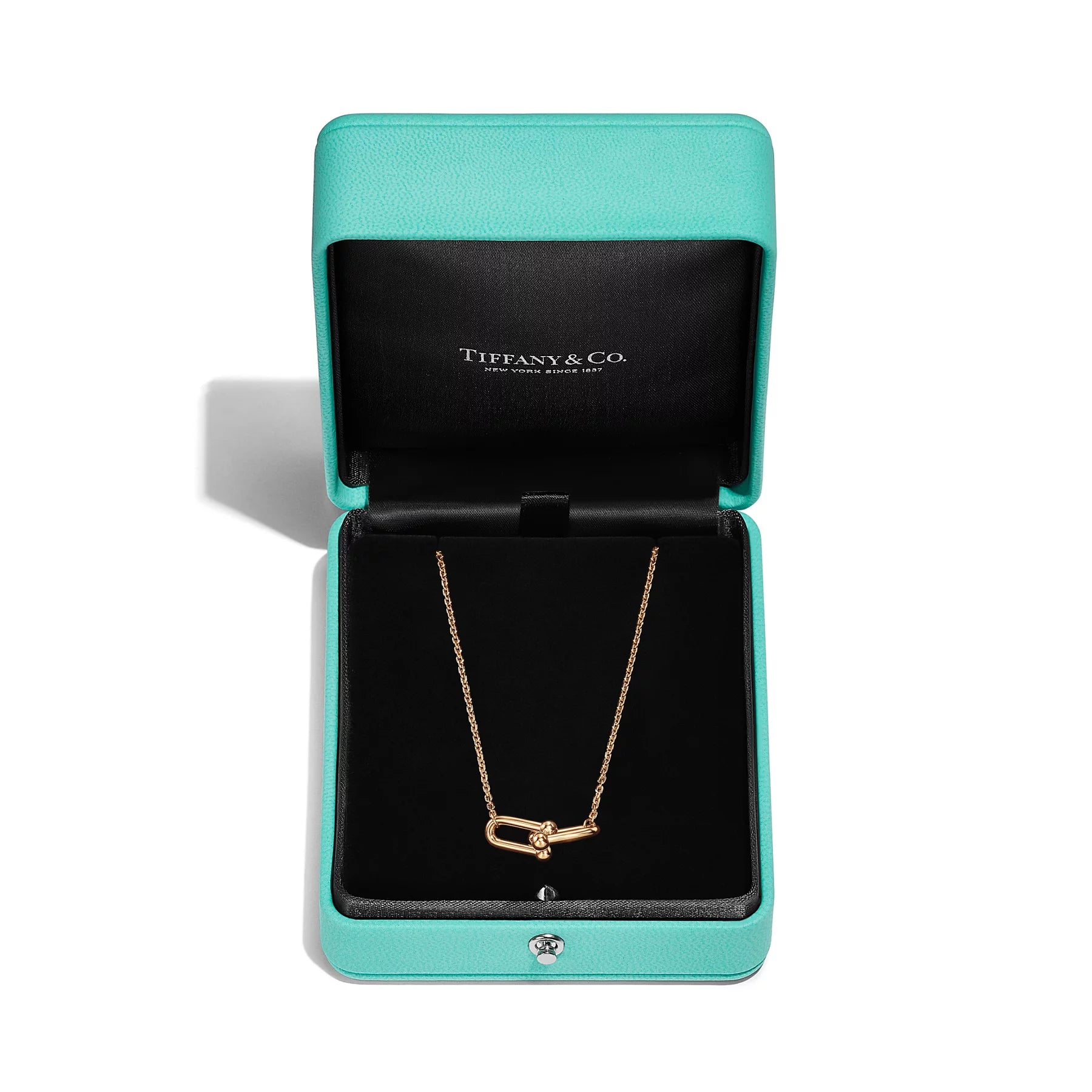 Evani Jewelry:Medium Double Link Pendant in Yellow Gold, 5