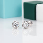 0.5 Ct Diamond Eight Heart Claws Stud Earrings-Evani Jewelry