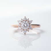 14k Solid Gold Round Cut Diamond OptionHalo Engagement Ring - Evani Naomi Jewelry