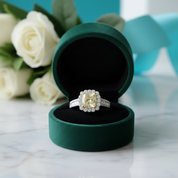 18k White Gold Diamond OptionEngagement Ring
