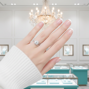 1.0 Ct Round Cut Diamond Option Halo Engagement Ring - Evani Naomi Jewelry