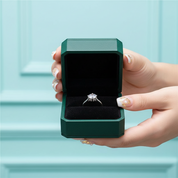 1ct Round Cut VVS1 Diamond OptionEngagement Ring - Evani Naomi Jewelry