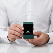 3.0 Ct Three Stone Diamond Option Engagement Ring