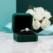 3ct Round Brilliant Diamond Option Engagement Ring - Evani Naomi Jewelry