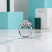 5ct Three Stone Diamond Option Engagement Ring - Evani Naomi Jewelry