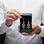 Blue Snake Bohemian Drop Earrings - Evani Naomi Jewelry