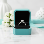 Brilliant 1.00 ct Diamond Engagement Ring-Evani Jewelry