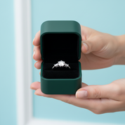Classics Six Claw 2ct Diamond OptionEngagement Ring - Evani Naomi Jewelry