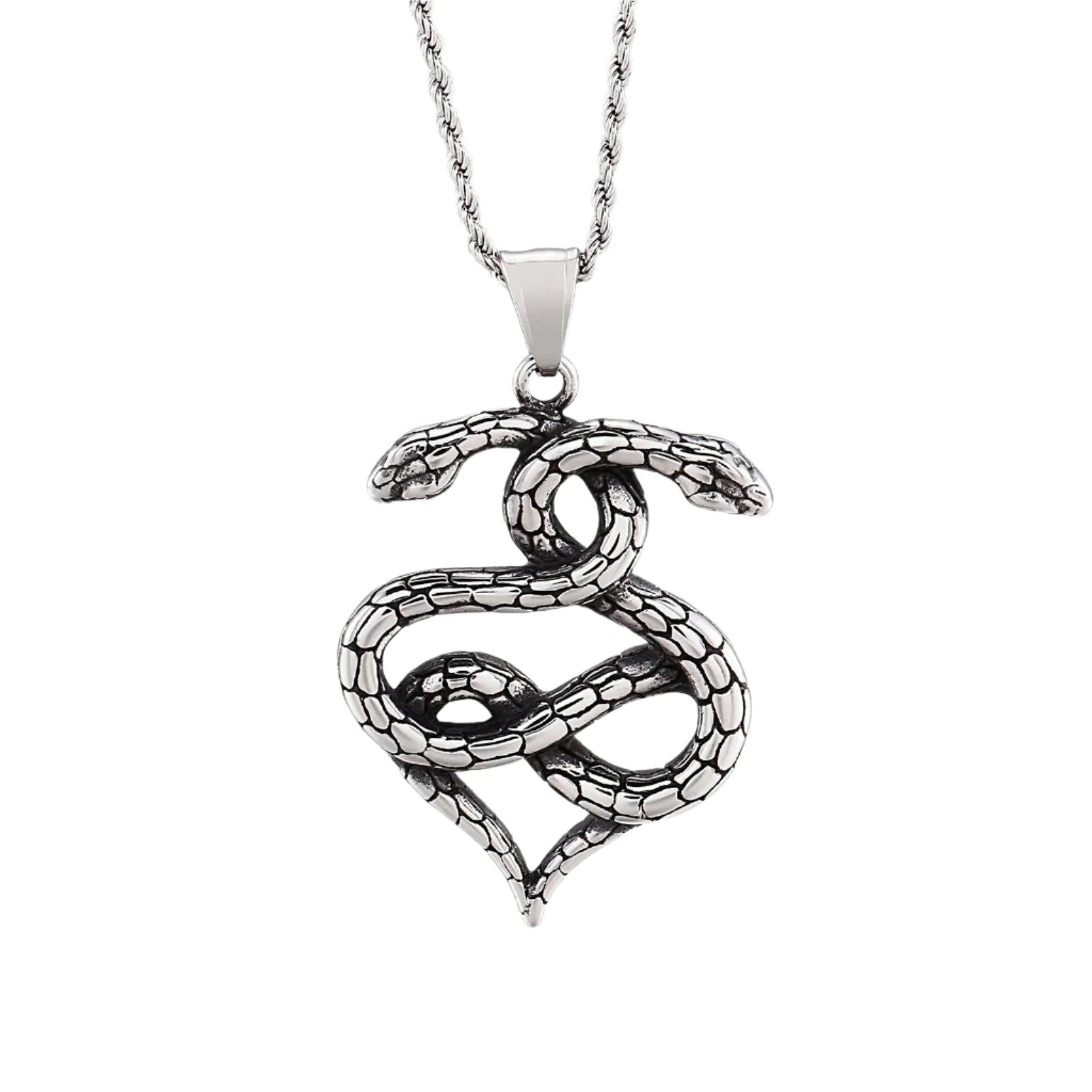 Gothic Double Snake Infinity Heart Necklace-Evani Naomi Jewelry