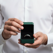 Tungsten Wedding Band with Double Abalone Shell Inlay - Evani Naomi Jewelry